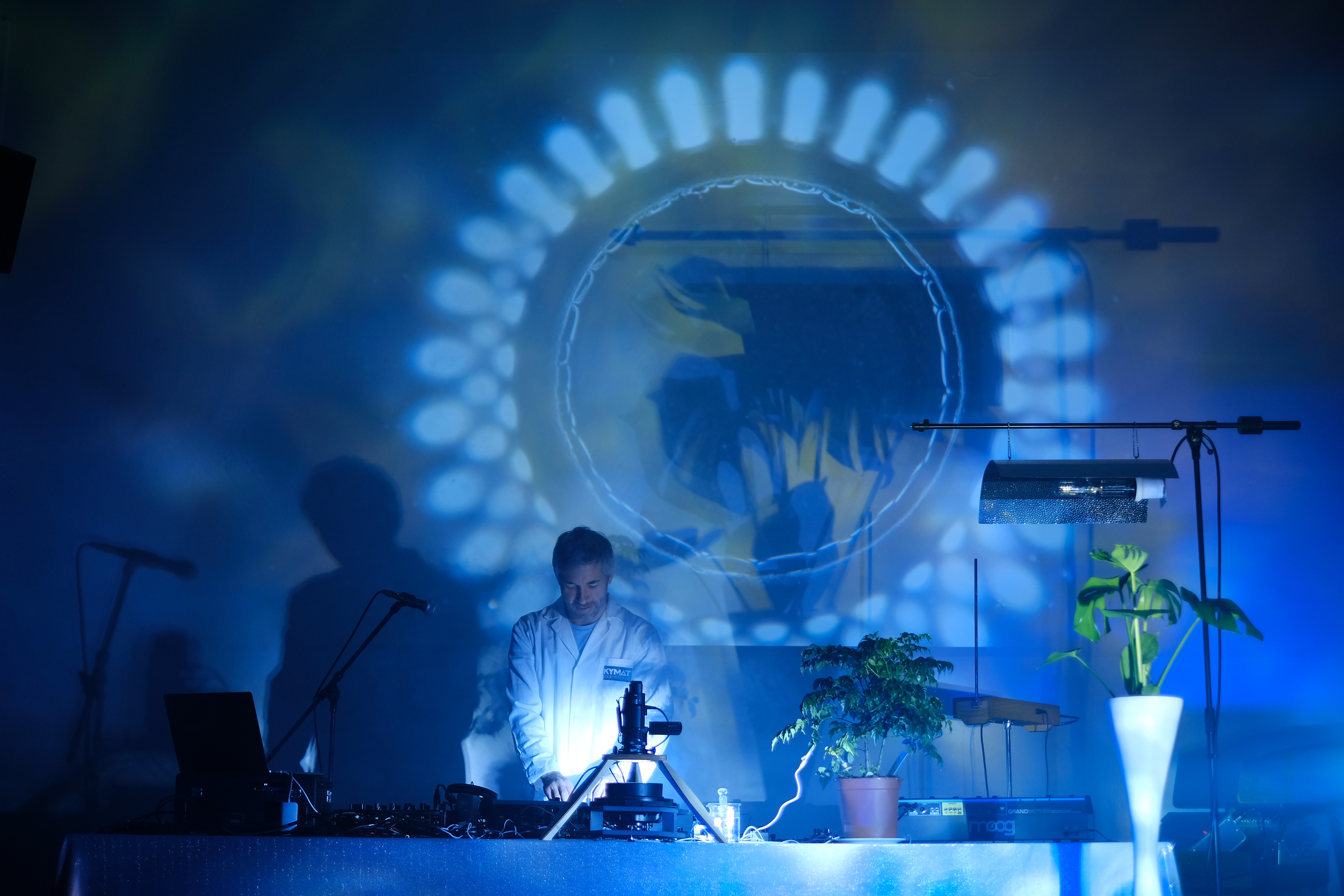 KYMAT bei einem Konzert mit seinen Pflanzen