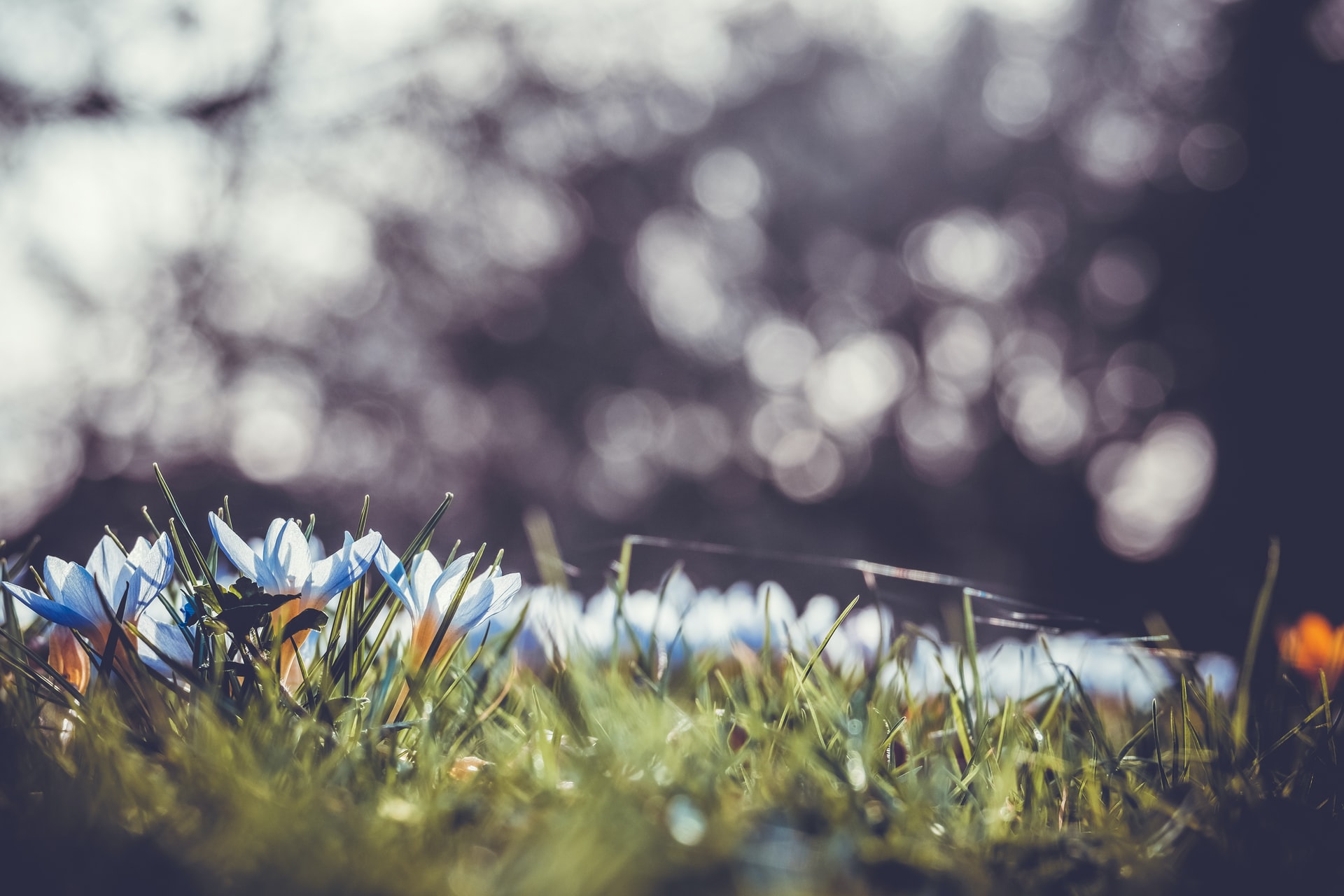 Neuerung im Monat Mai für das Klassik Radio Land