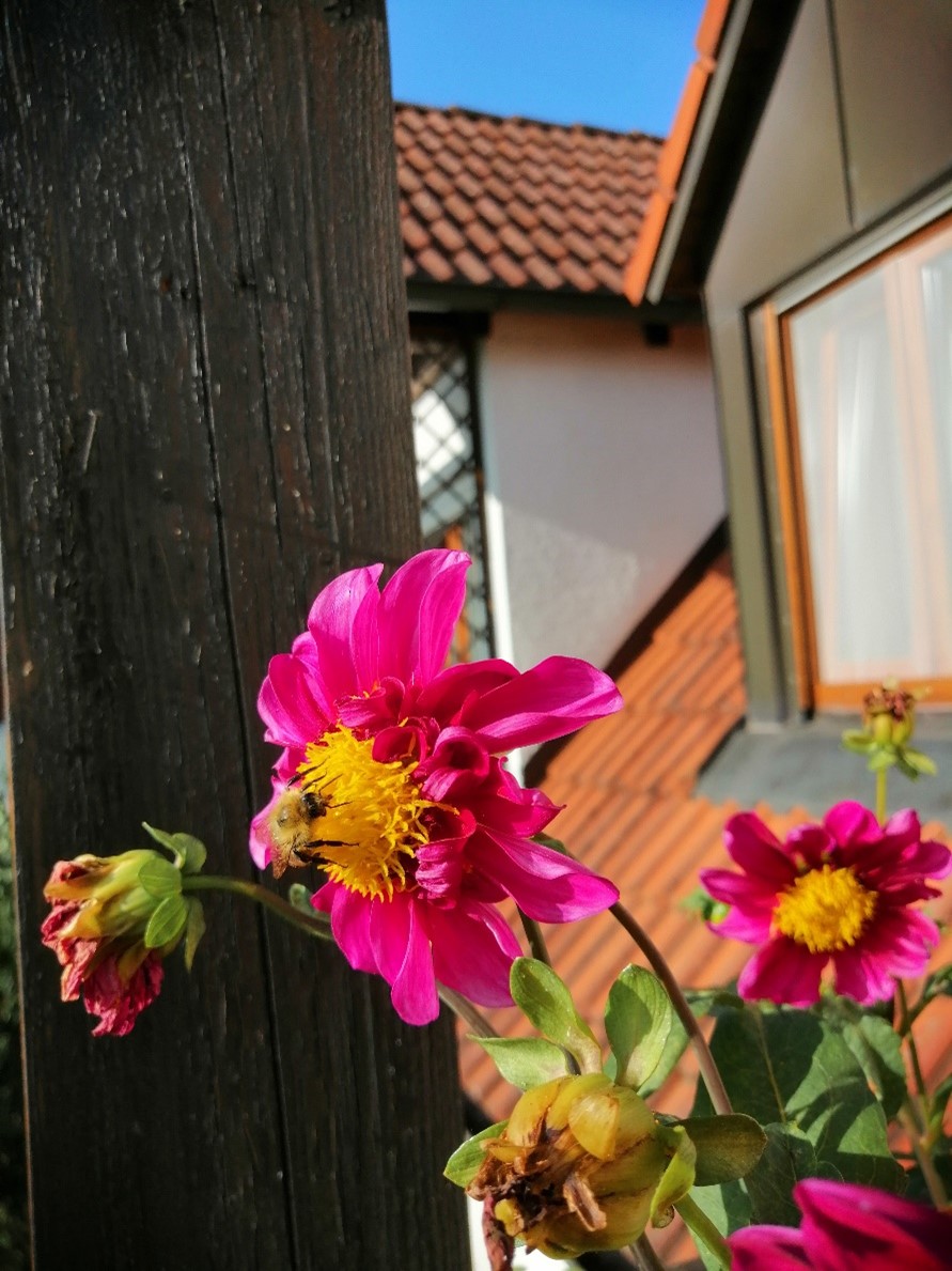 Hörerin Renate Schwaiger aus Moosberg 