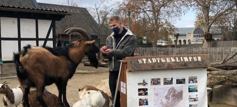Klassik im Kölner Zoo                    