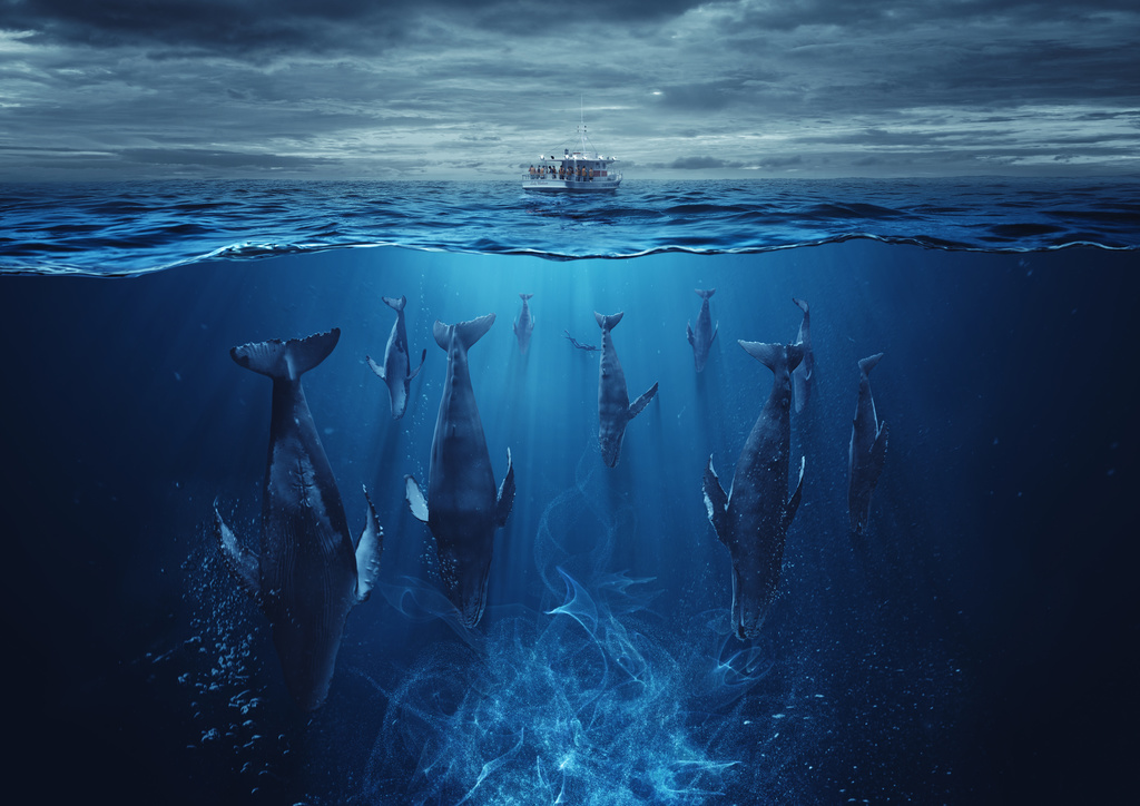 Schätzings Schwarm startet als Serie