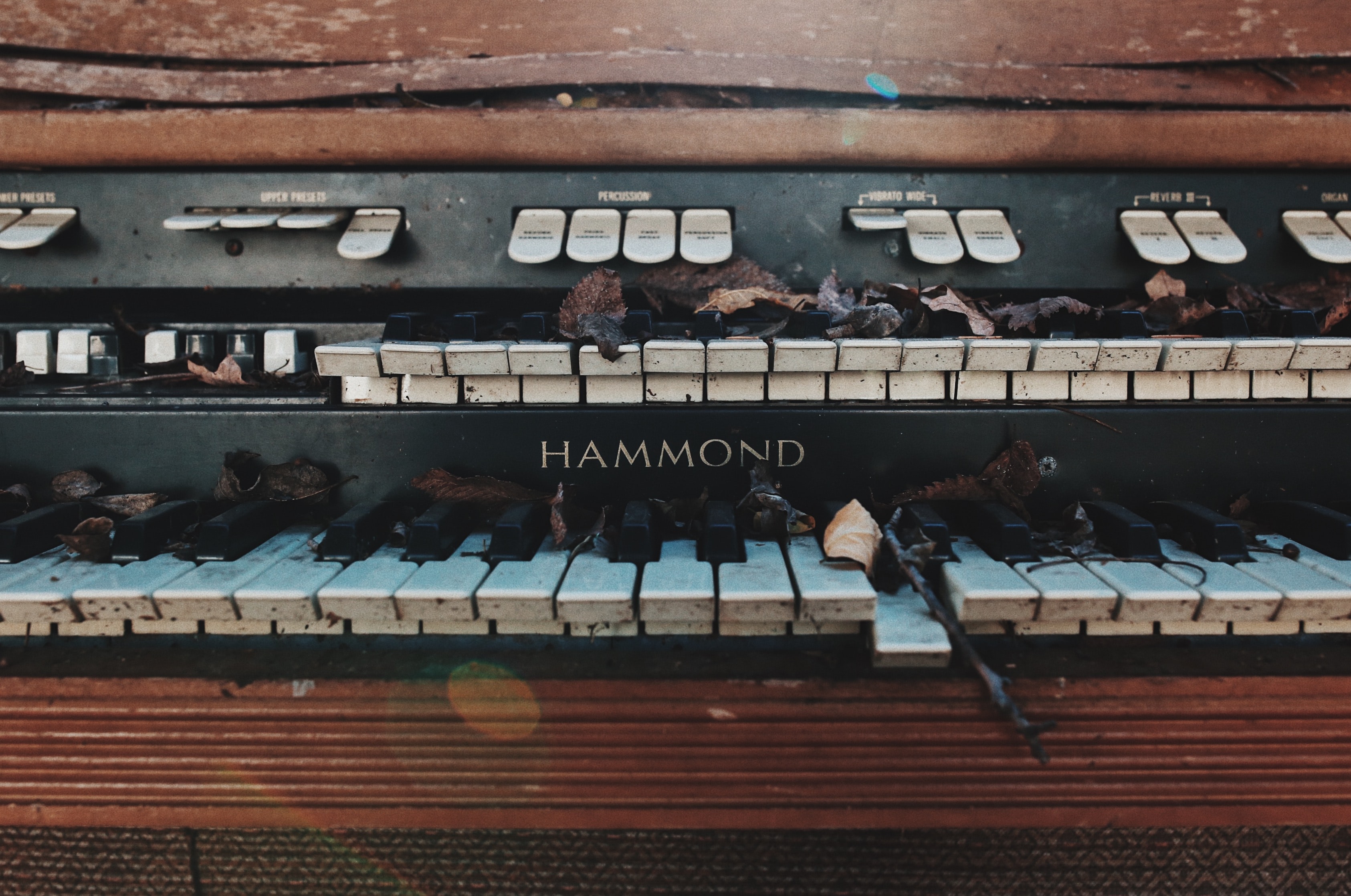 Die Wahre Geschichte der Woche: Hammond Orgel 
