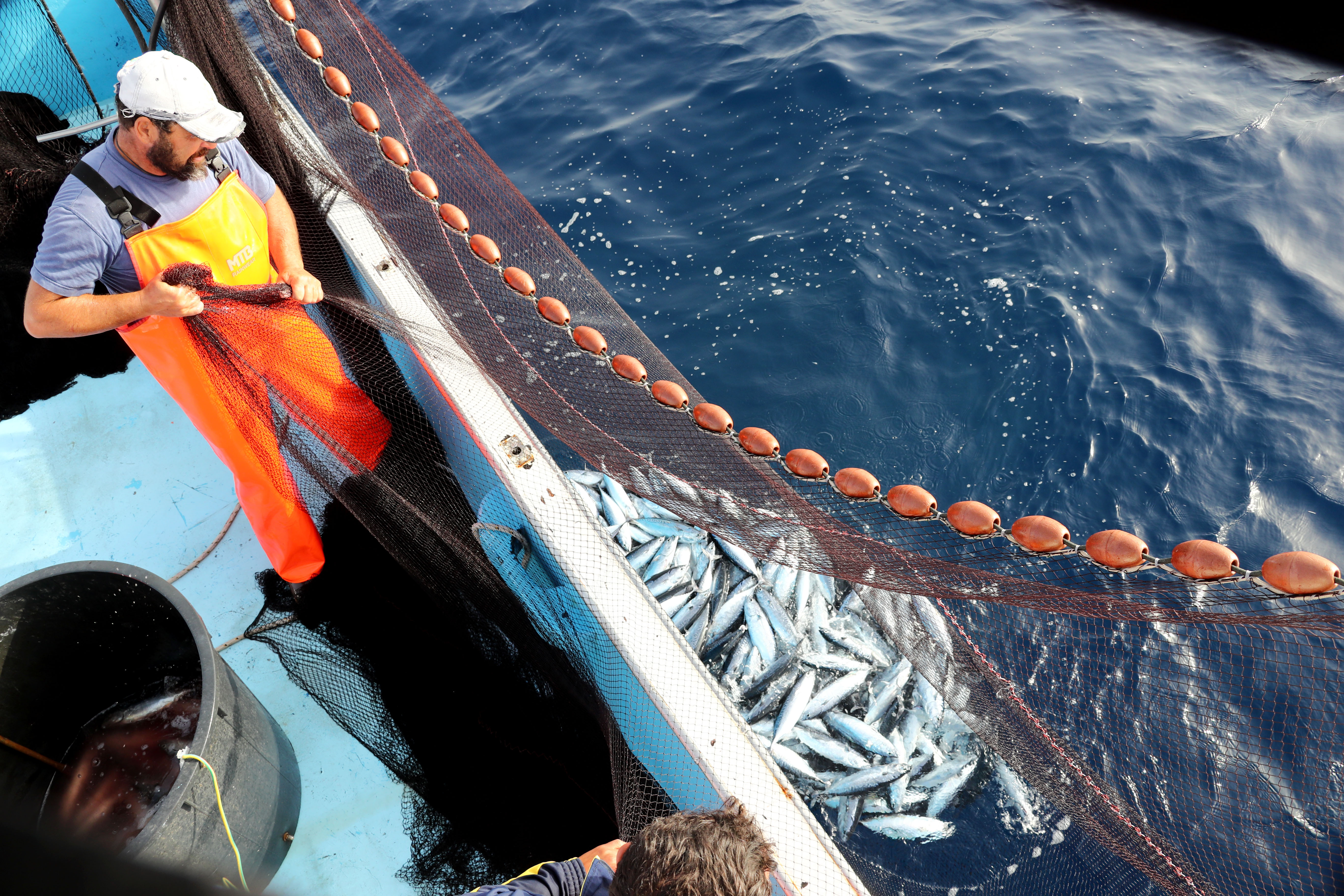 Fischer in marina di pisciotta