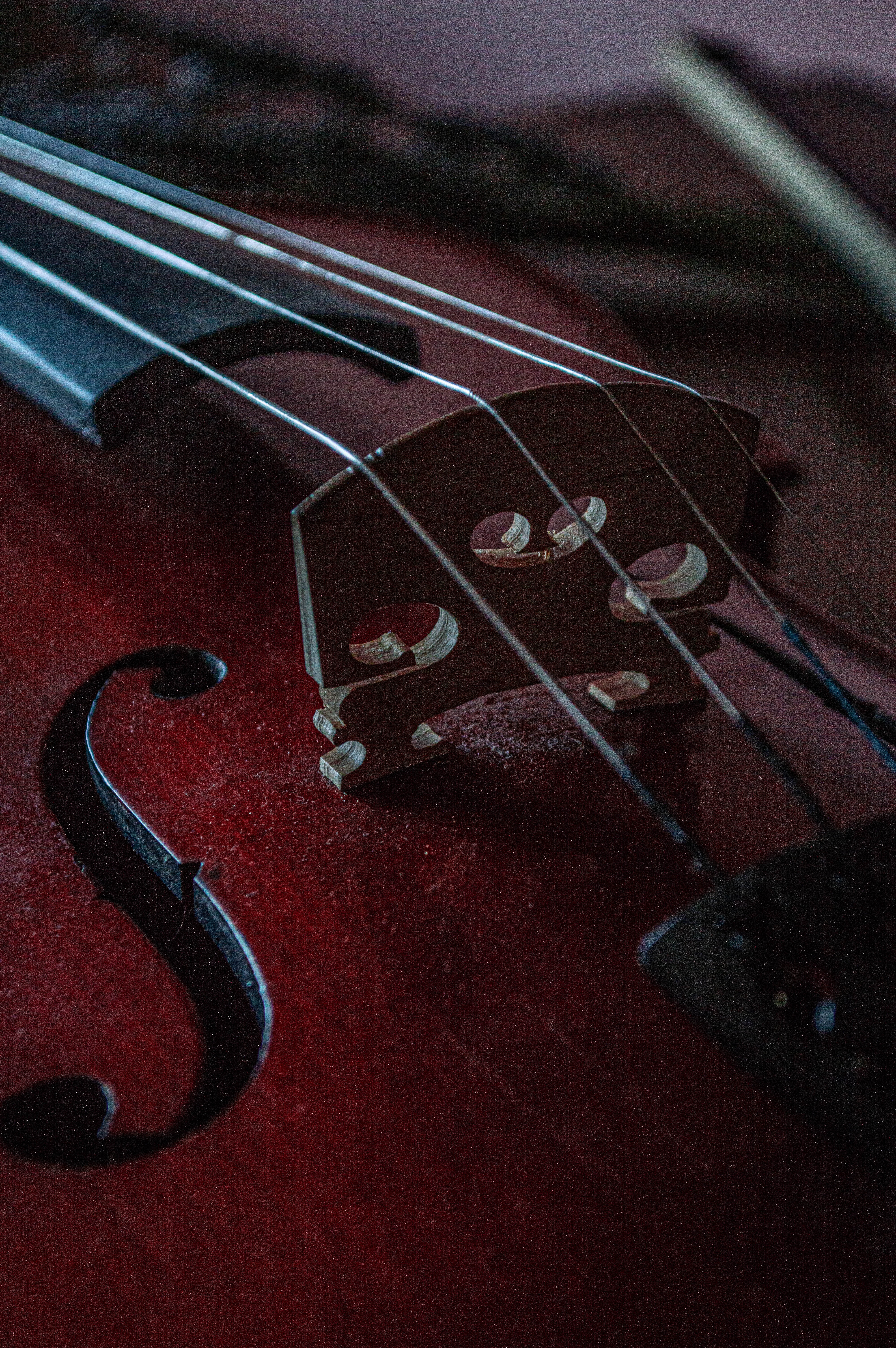 Ein besonderer Blick in die Vergangenheit