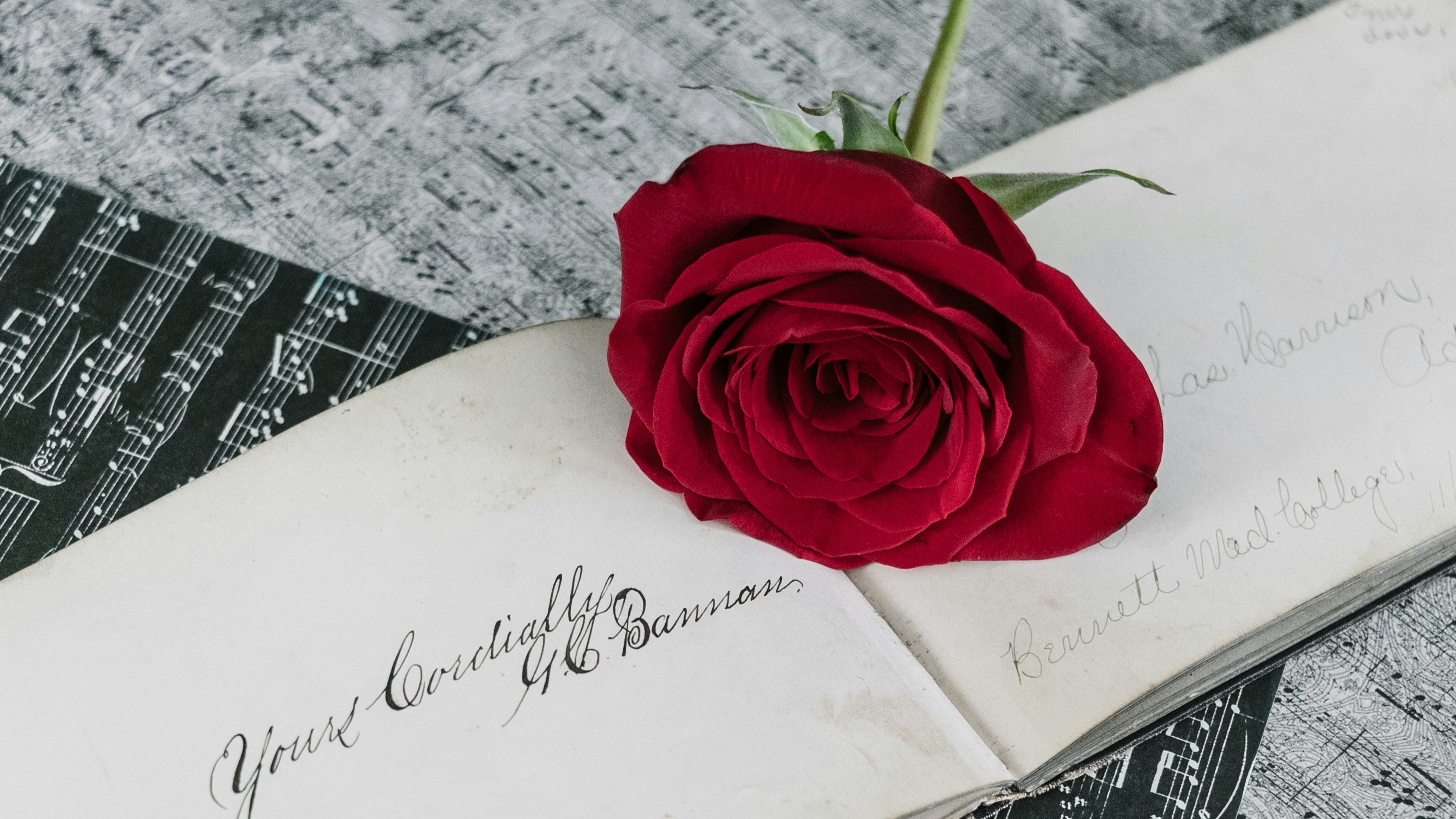 Rosen Valentinstag Artikelbild