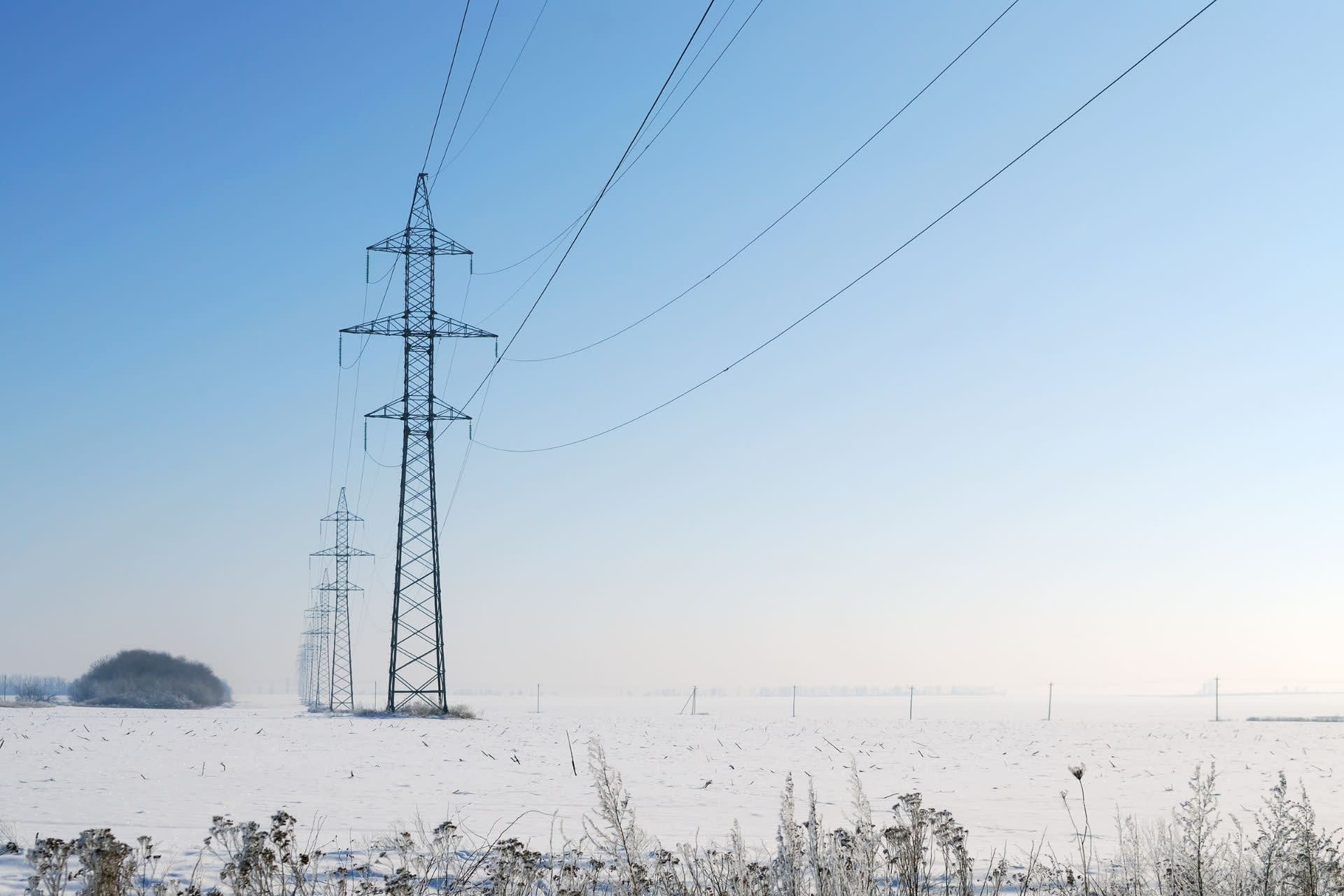 Flexibility Focus: key insights from Q4 2025 - Hero Image