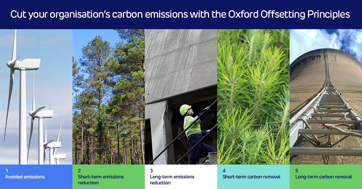 Cut Carbon With The Oxford Offsetting Principles | Drax