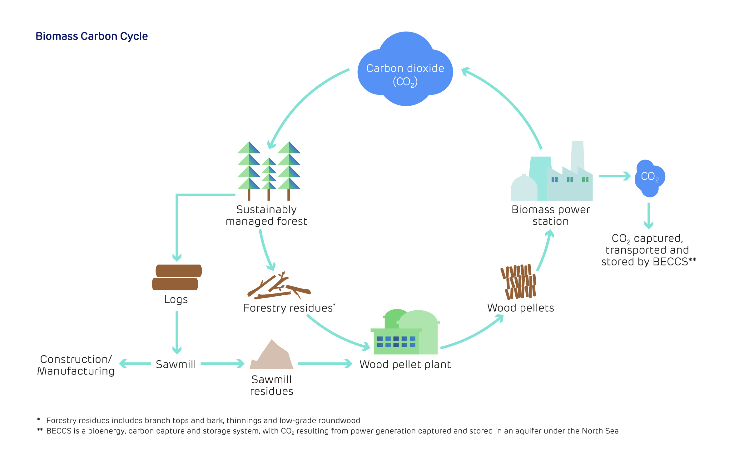 Biomass carbon cycle
