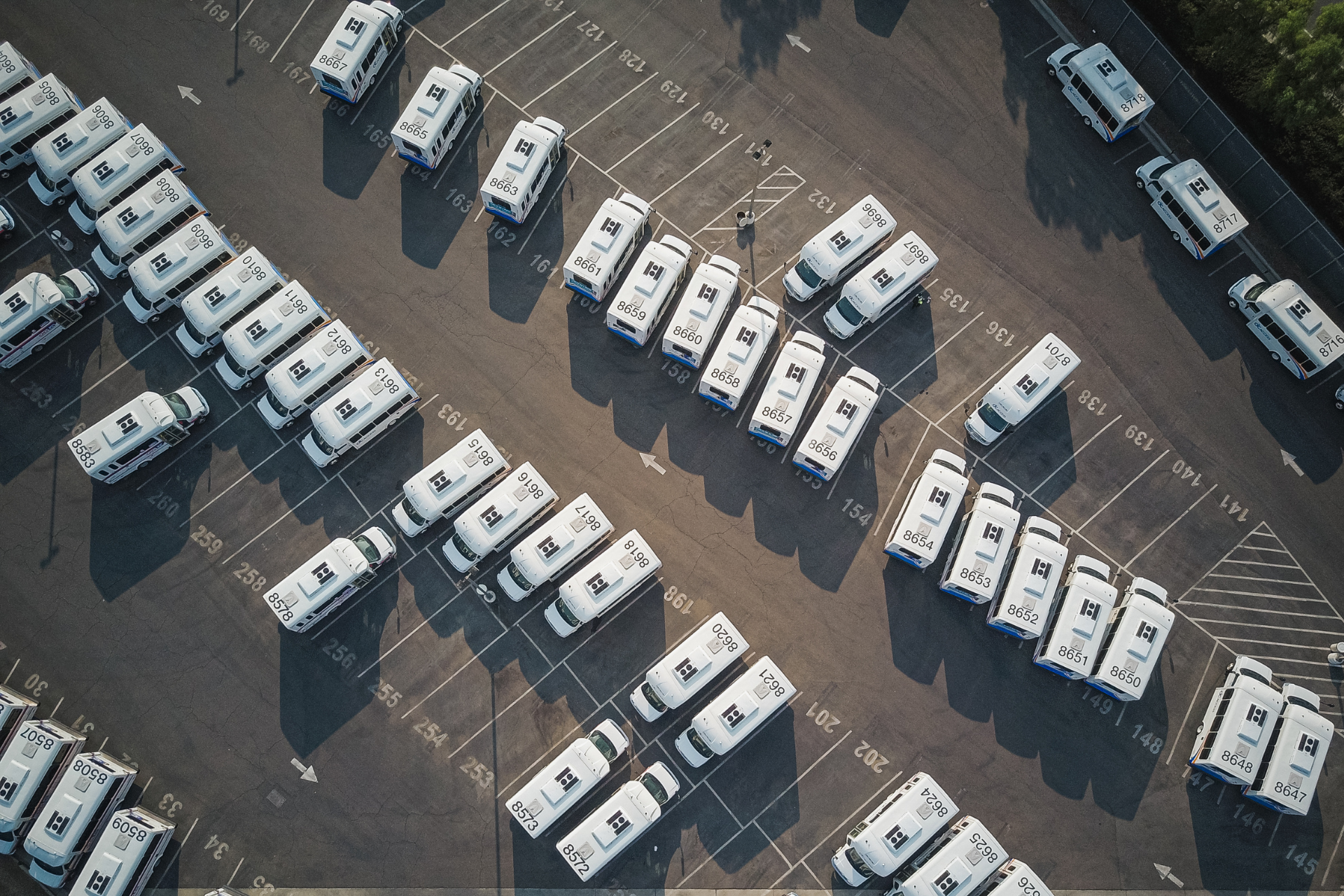 Header image - Government launches Zero Emission Vehicle Mandate review