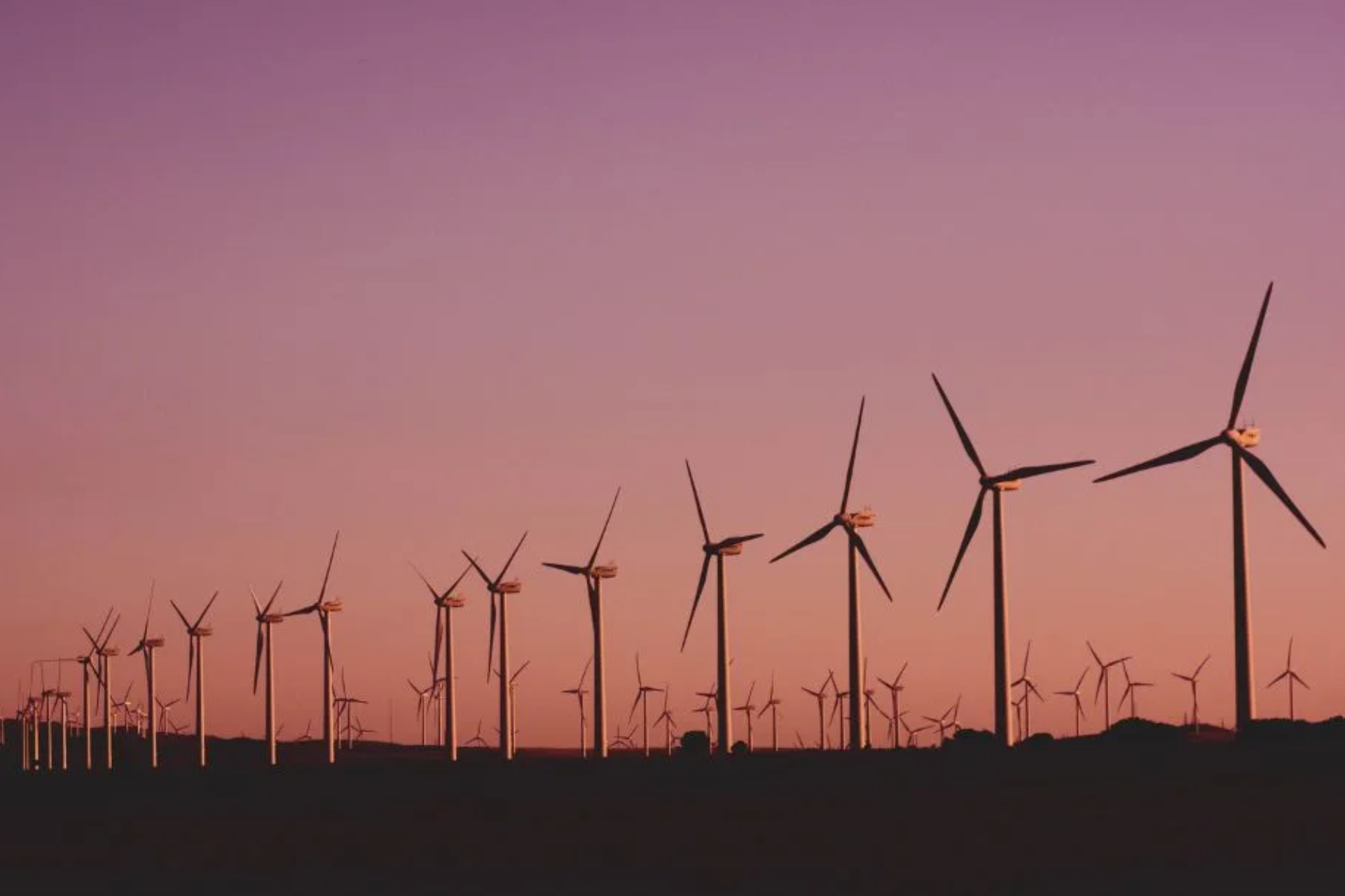 Electric Insights – A coal-free Britain, transmission issues, and balancing costs - Hero Image