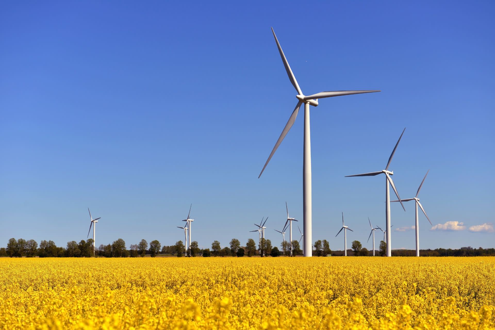 CPPA structures explained header image