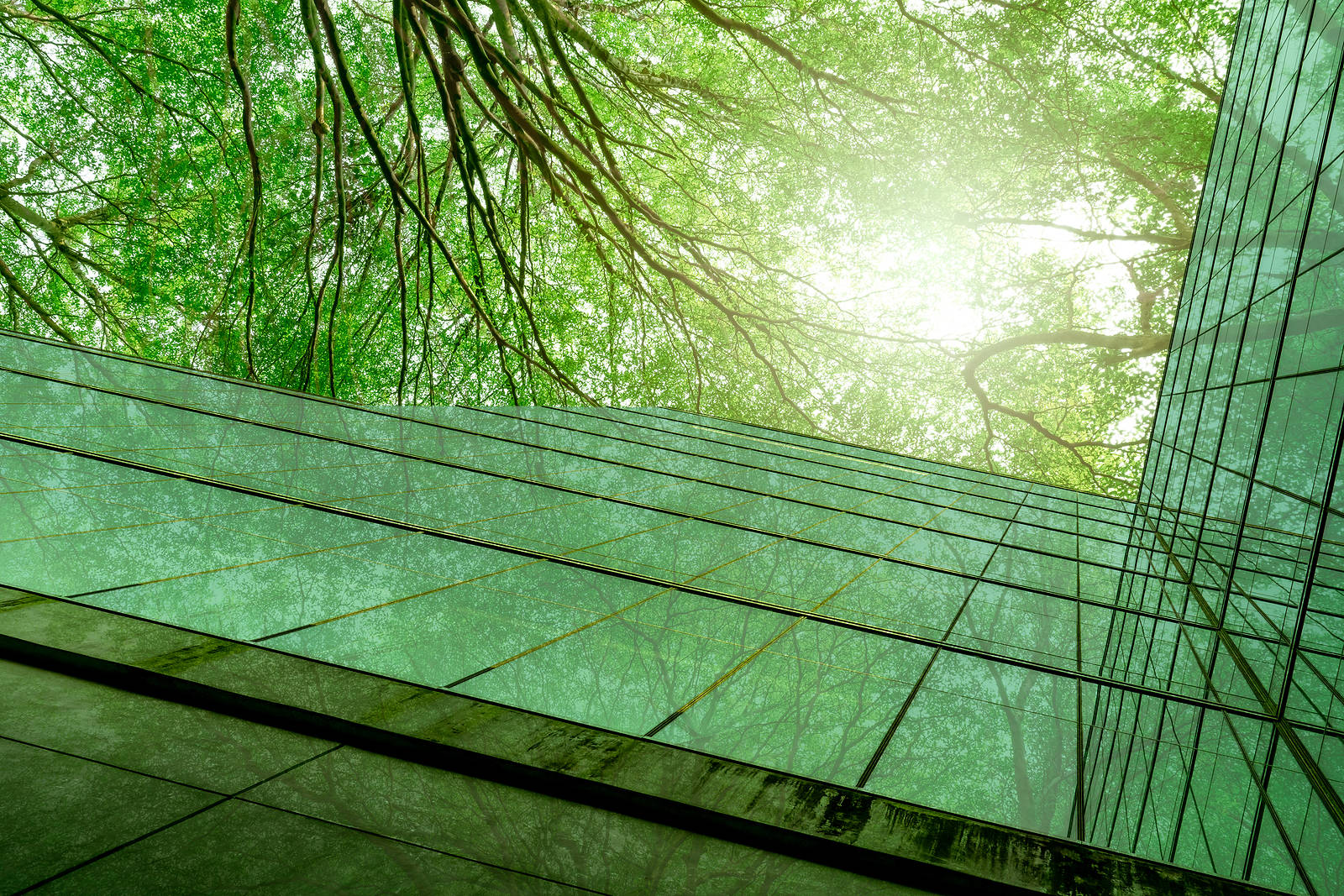 Sustainble-Green-Building