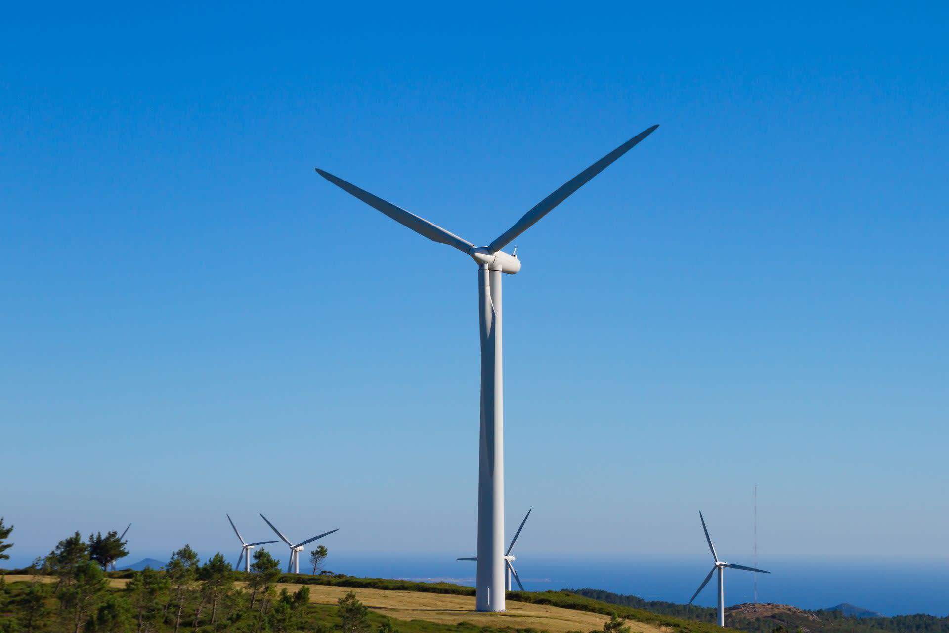 What’s REMA – and why is it important for UK businesses? - Hero Image