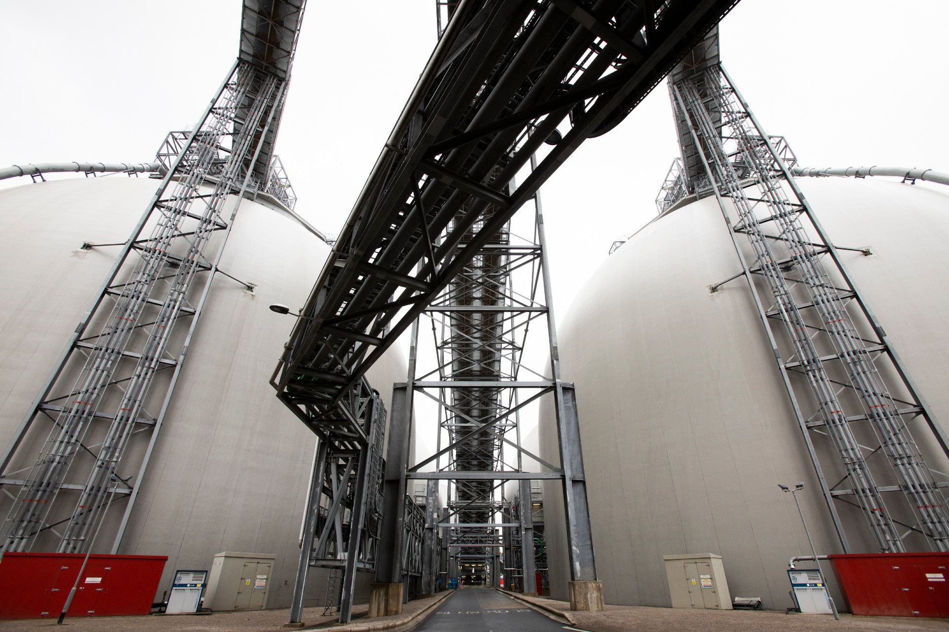 Biomass storage domes