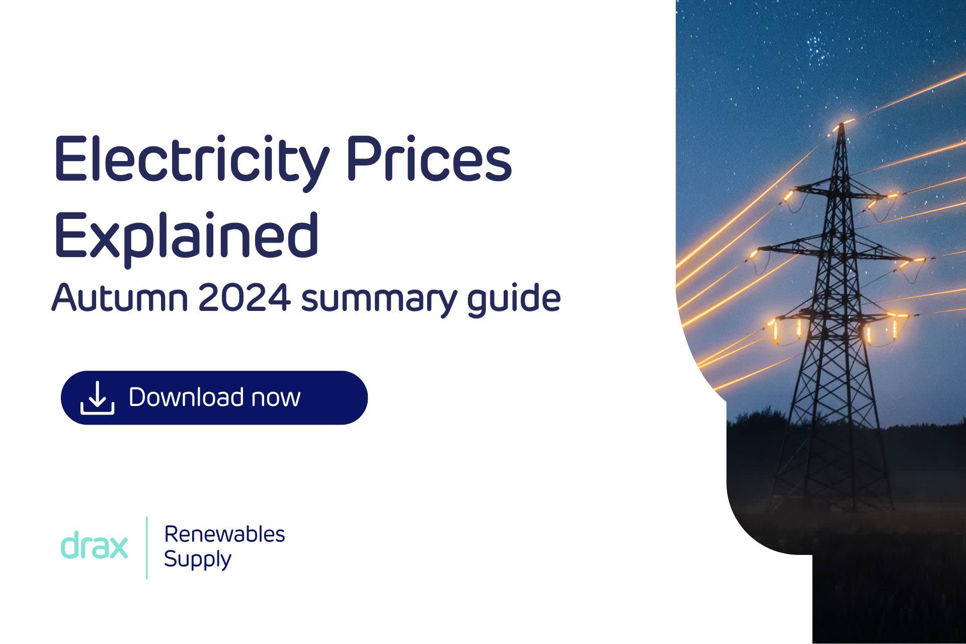 Electricity Prices Explained: Download our Autumn 2024 summary guide - Hero Image