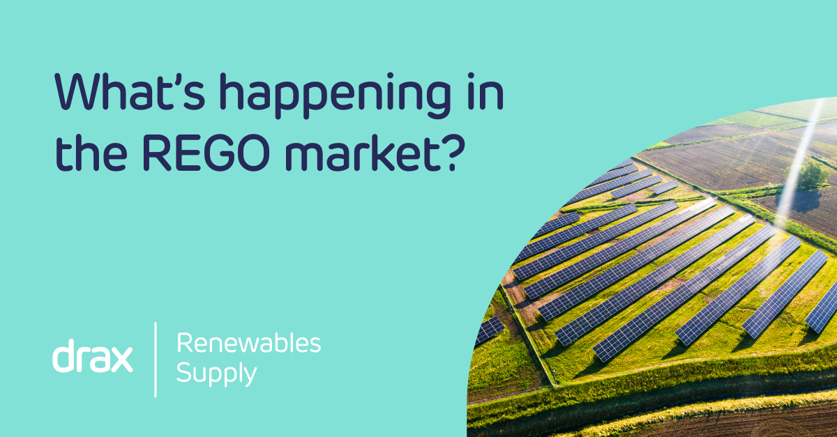 What’s happening in the REGO market? | Drax