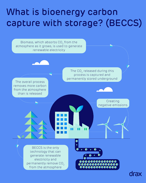 Why we won’t reach net zero without carbon removals | Drax