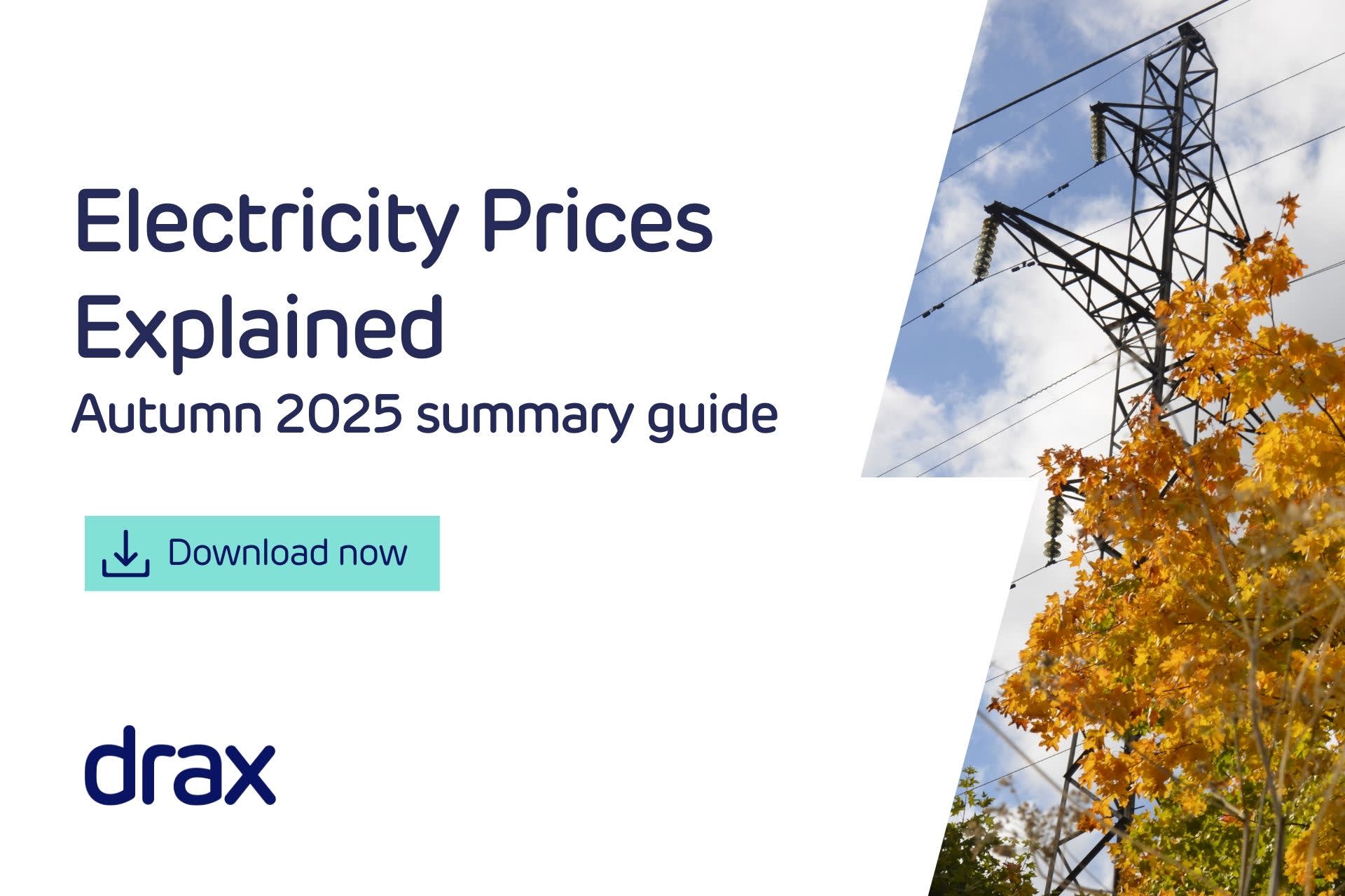 Electricity Prices Explained: Download our Autumn 2025 summary guide - Hero Image
