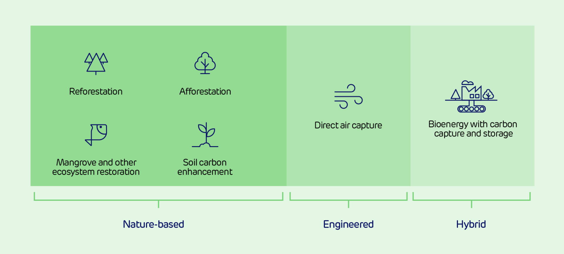 What role do carbon credits have to play in sustainability strategies? - Image 1