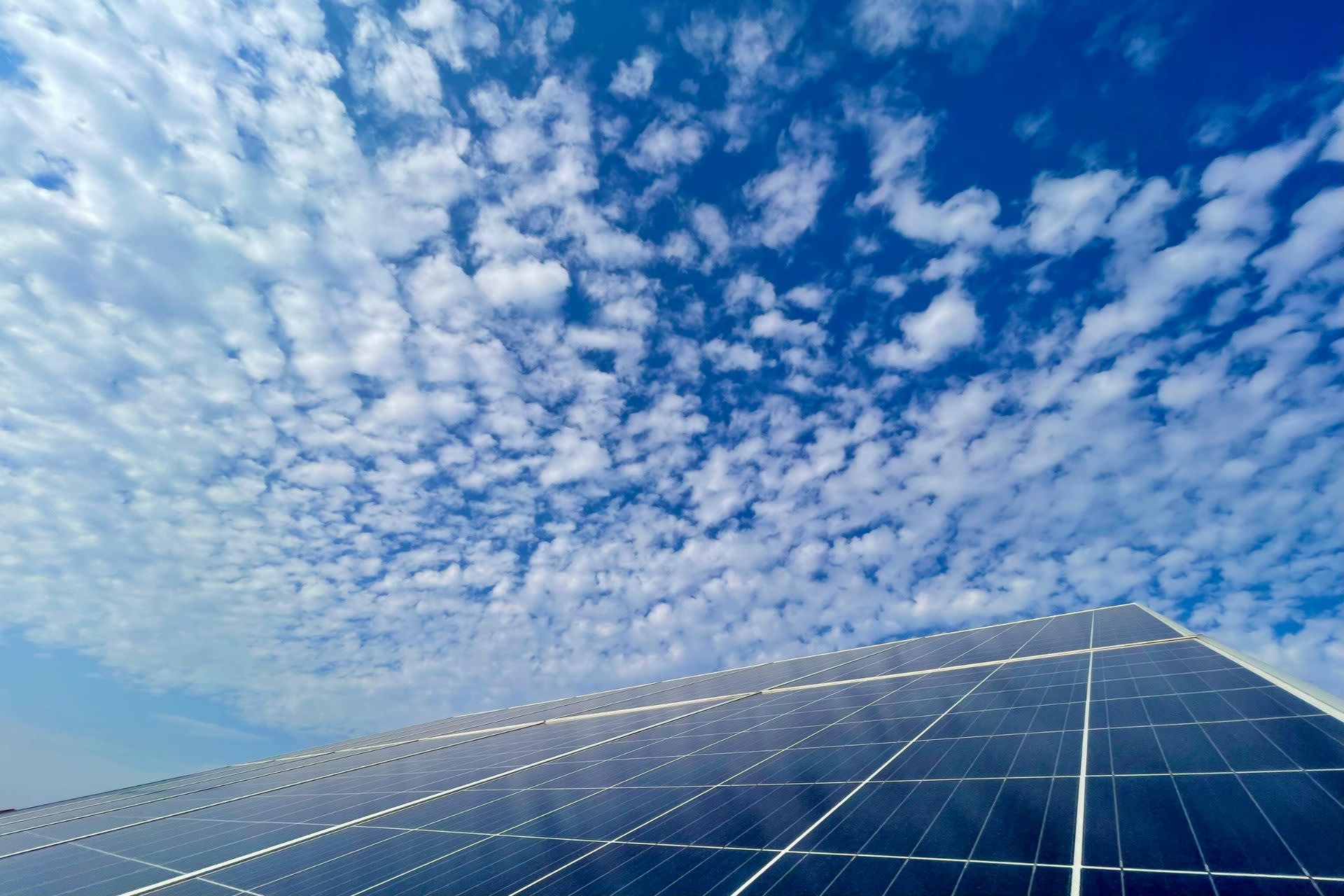 Flexibility Focus: Q3 2025 – Regulatory change and policy momentum shaping consumer-led flexibility - Hero Image