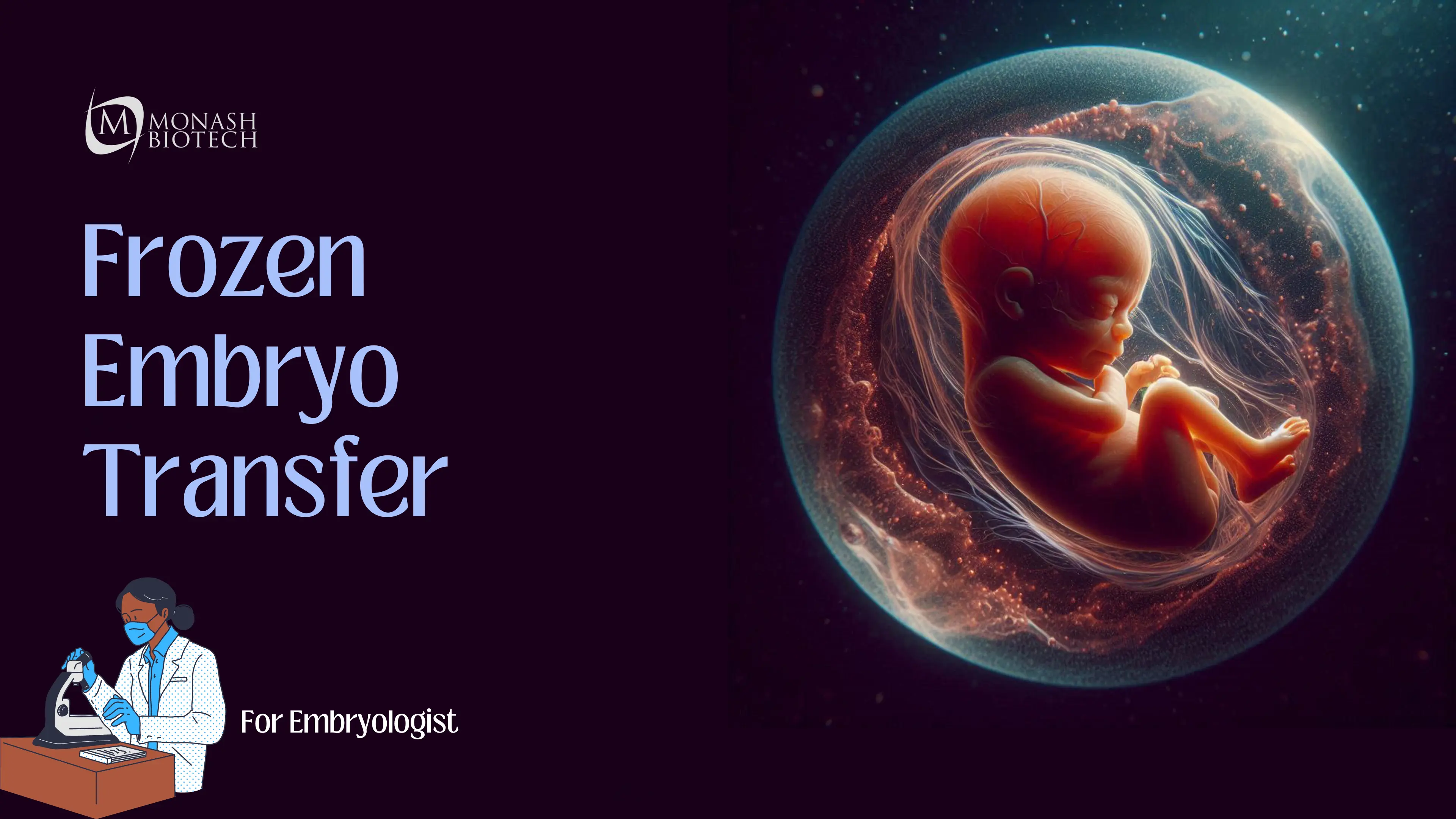 Frozen Embryo Transfer (FET)