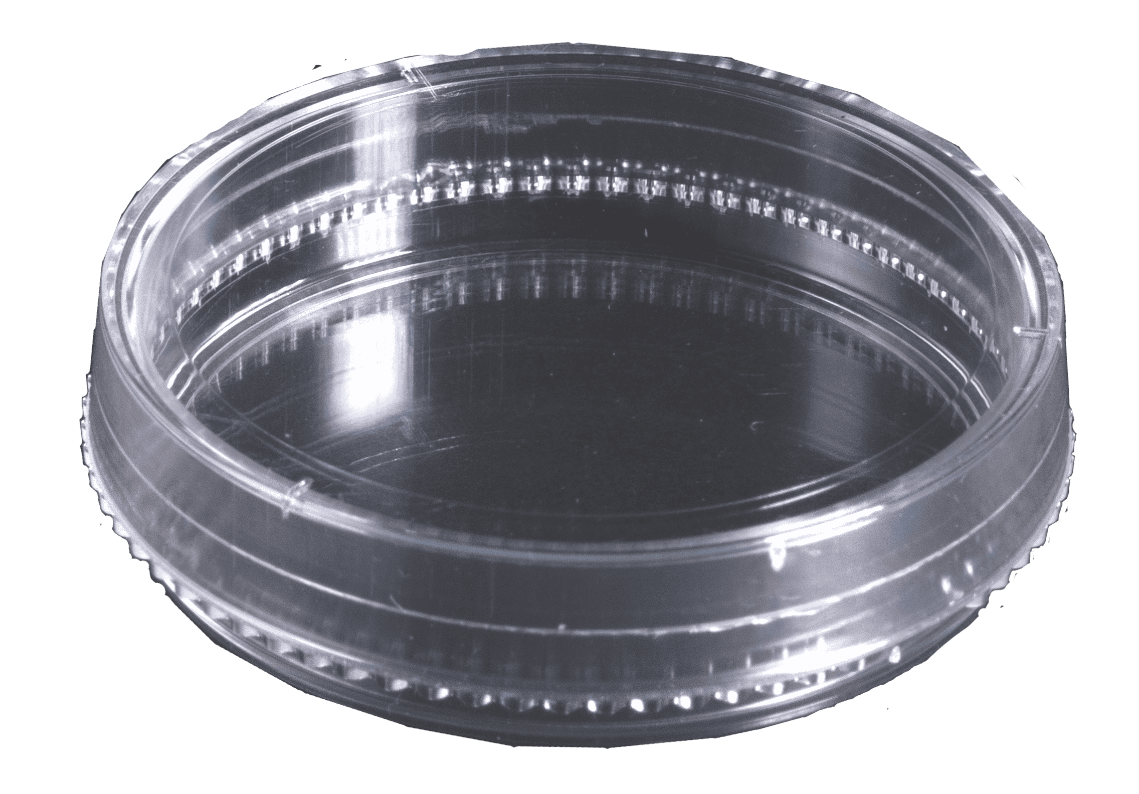 Low-Profile Base Clarity