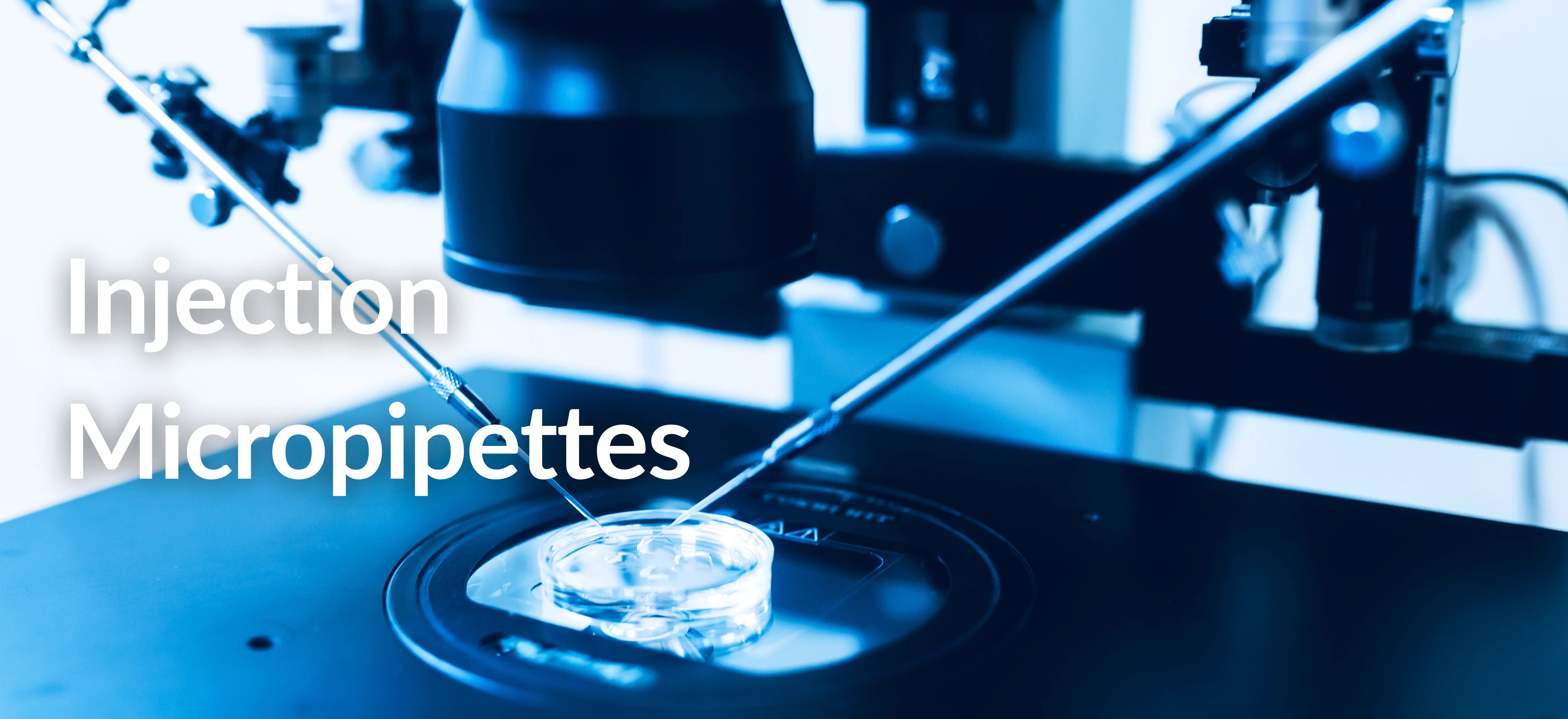 Injection Micropipettes (ICSI)