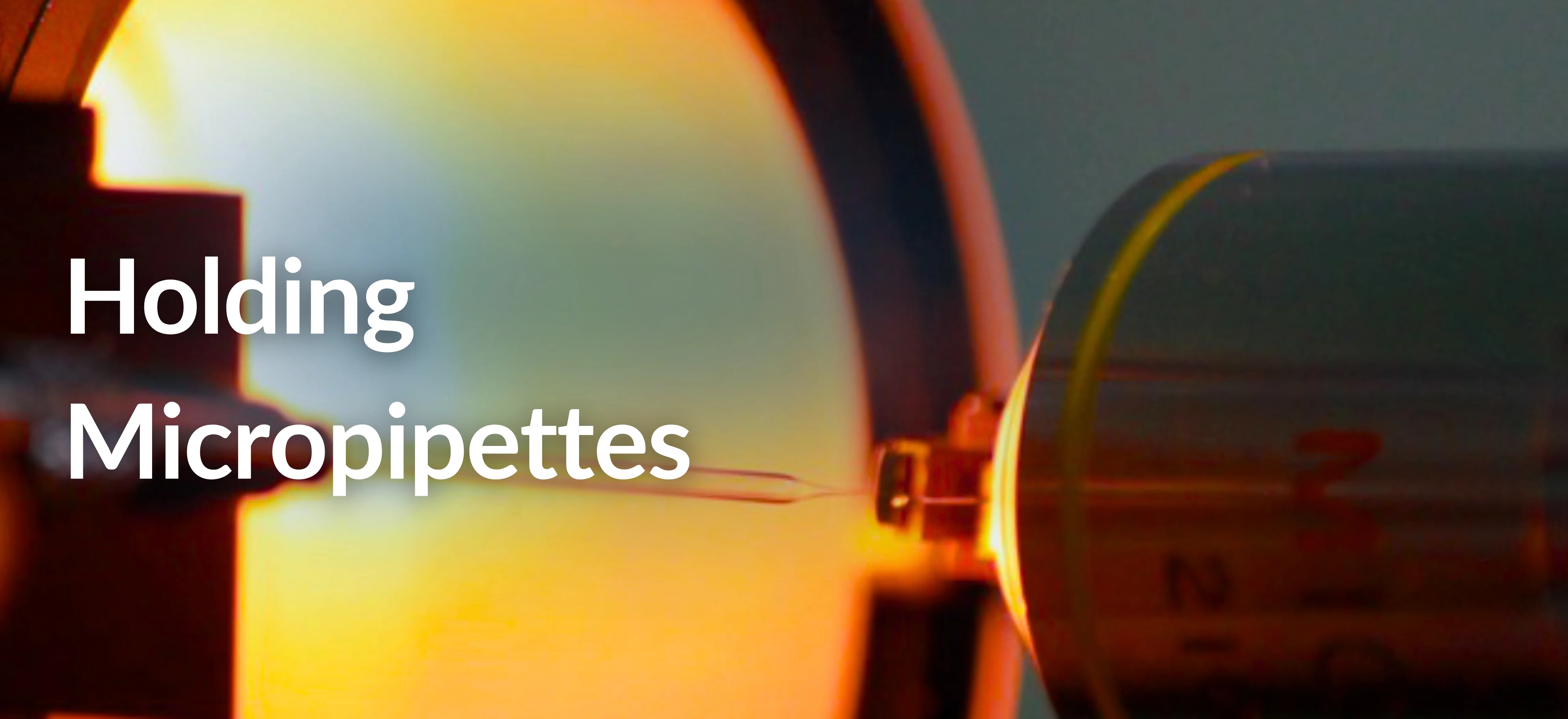 Holding Micropipettes