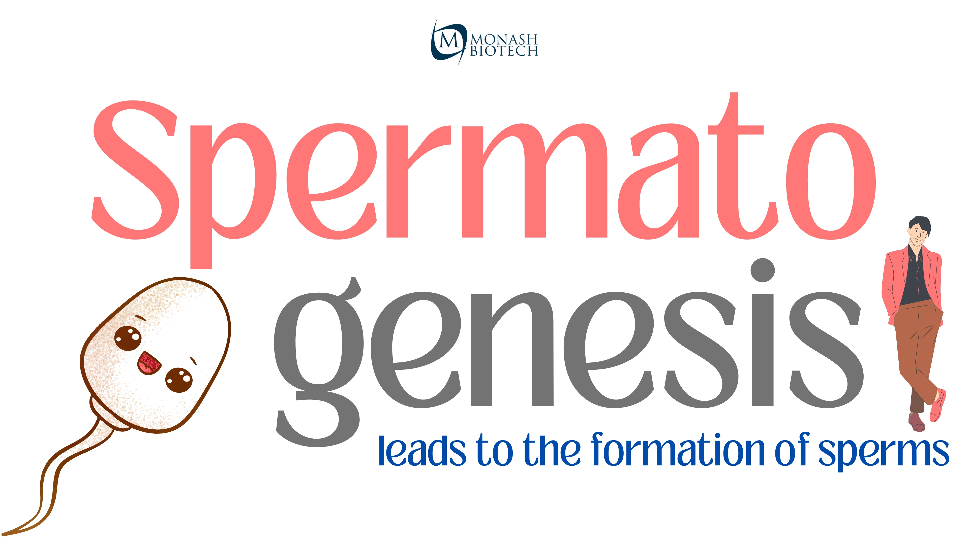 Spermatogenesis