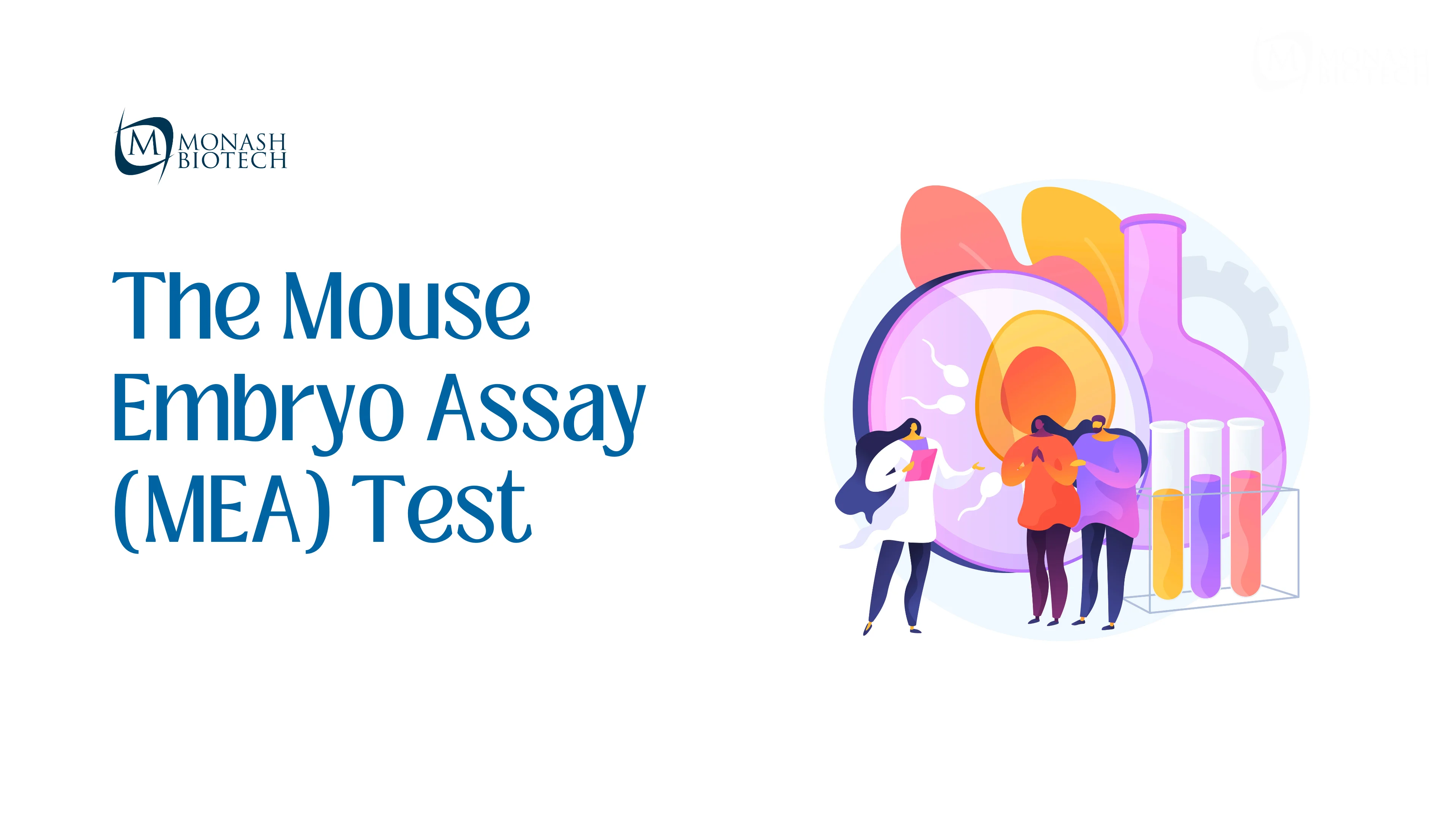 Mouse Embryo Assay (MEA) Test: A Gold Standard for Human IVF Quality Control