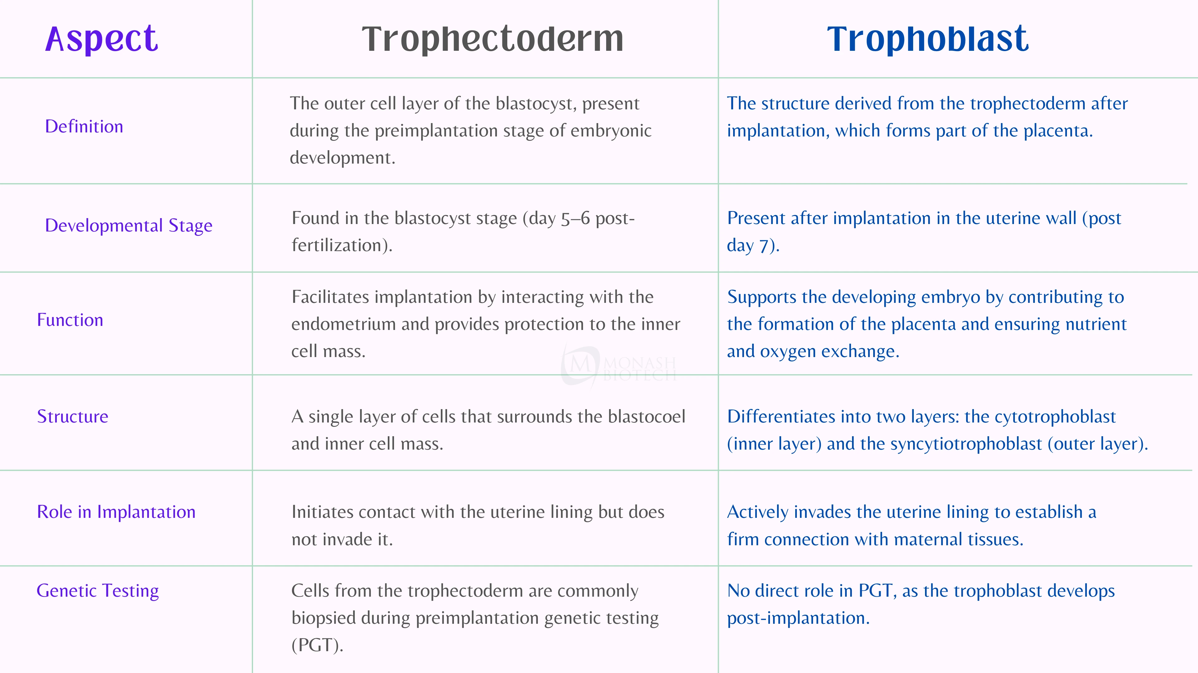 Difference Between Trophectoderm and Trophoblast