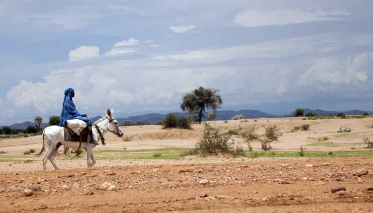 A farmer rides his donkey across the fields in Sudan.