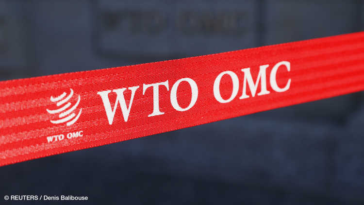 The Politics of Development in the WTO, or there and back again …