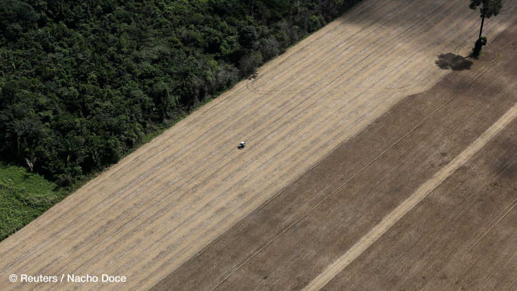 A tractor works on a wheat plantation on land that used to be virgin Amazon rainforest near the city of Santarem.