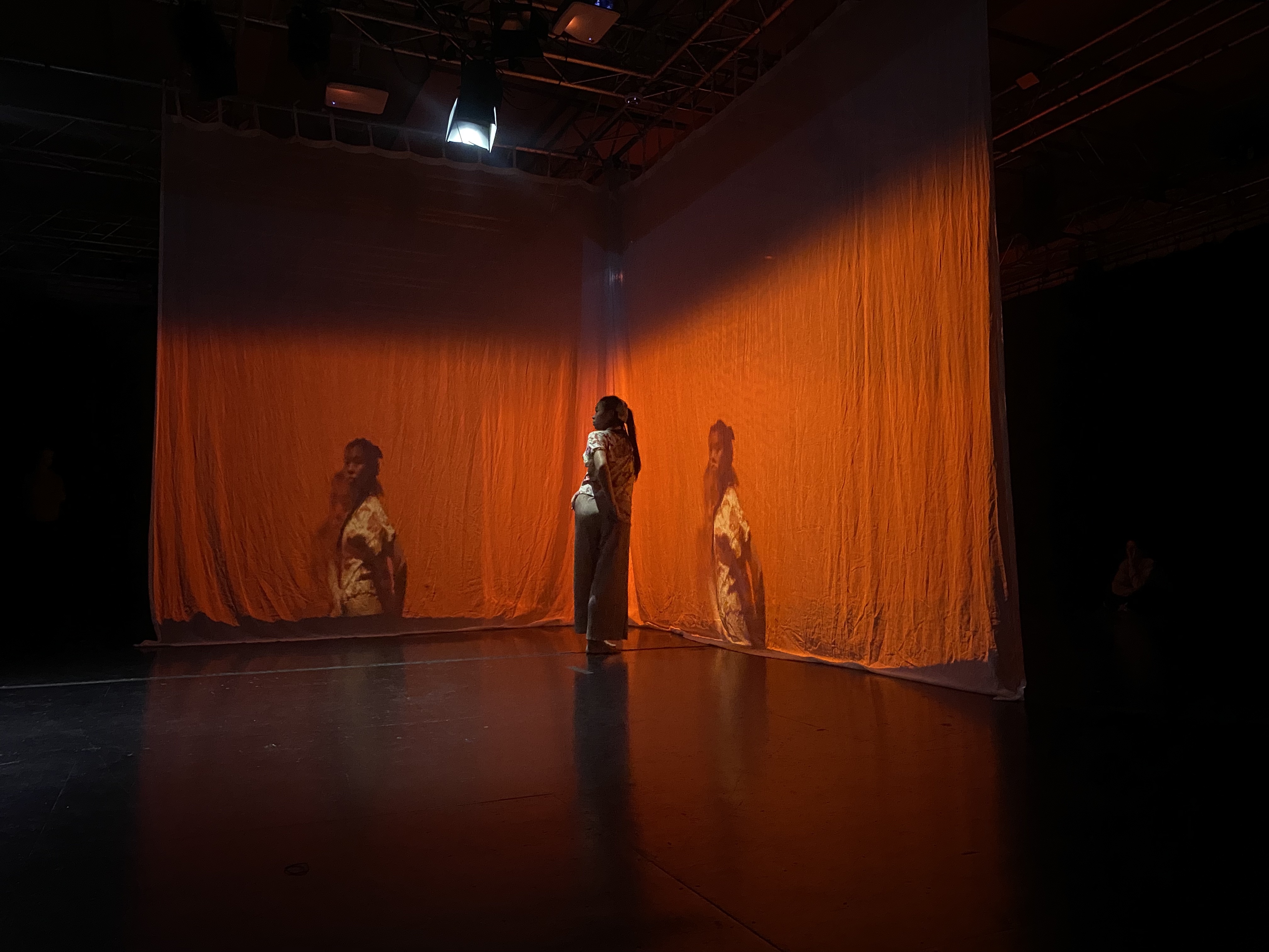 Shivaangee Agrawal, Orbital Asymmetries, Image 