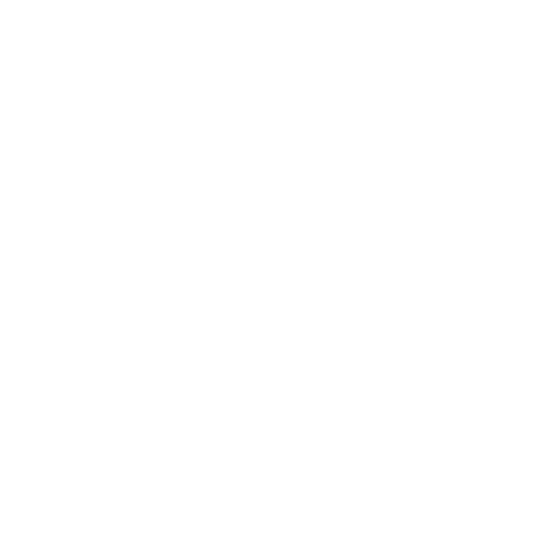 TAPA FSR 2020