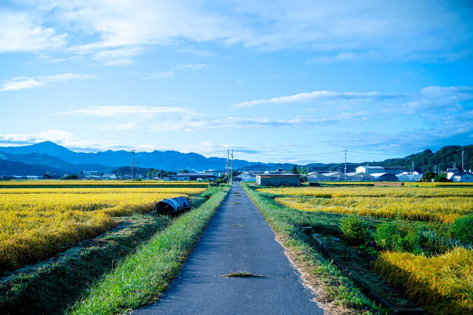 あなたの道の先にあるものは誰も分からない