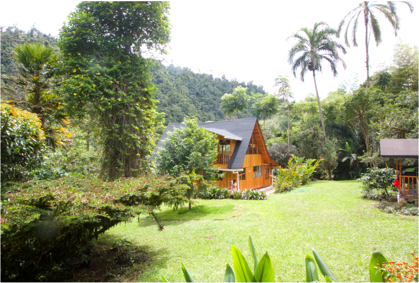 LA PROVIDENCIA ESPAÑOL (4)