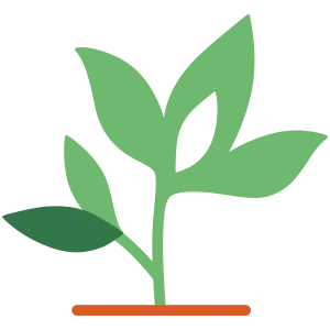 Sceletium Extract