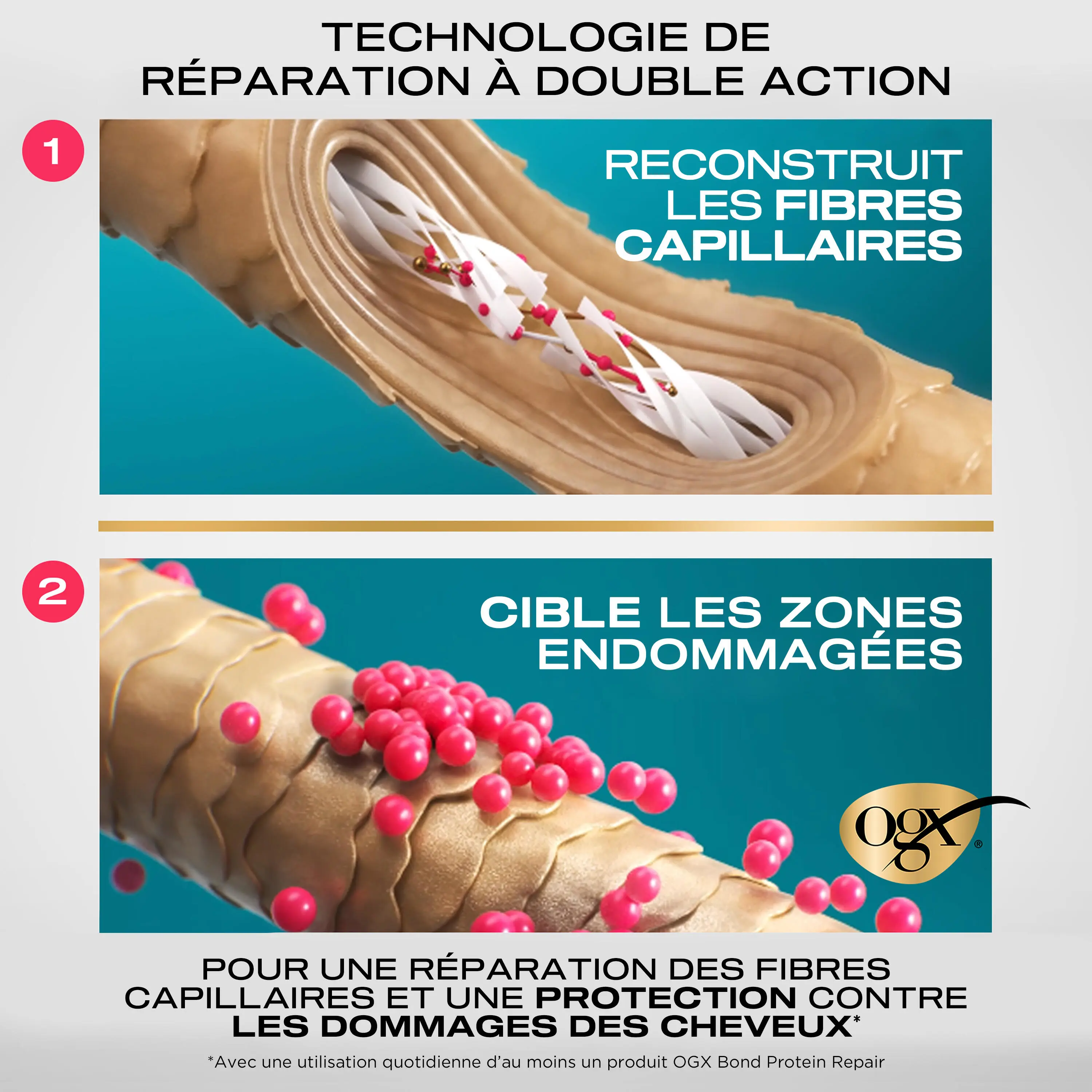 product benefits OGX_