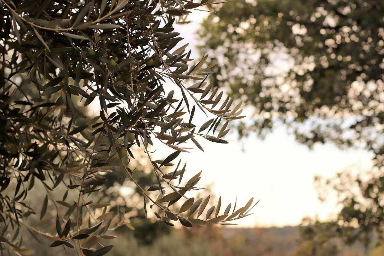 On s’engage - Image 3 - Le Petit Marseillais - fr-FR