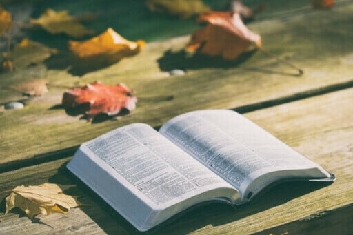 Un livre ouvert sur une table en bois. Des feuilles mortes sont également sur cette table