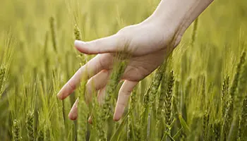 tampons NETT® environnement