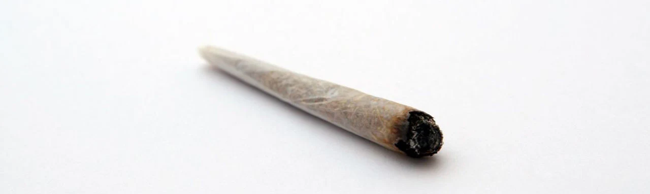 Une cigarette roulée sur un fond blanc