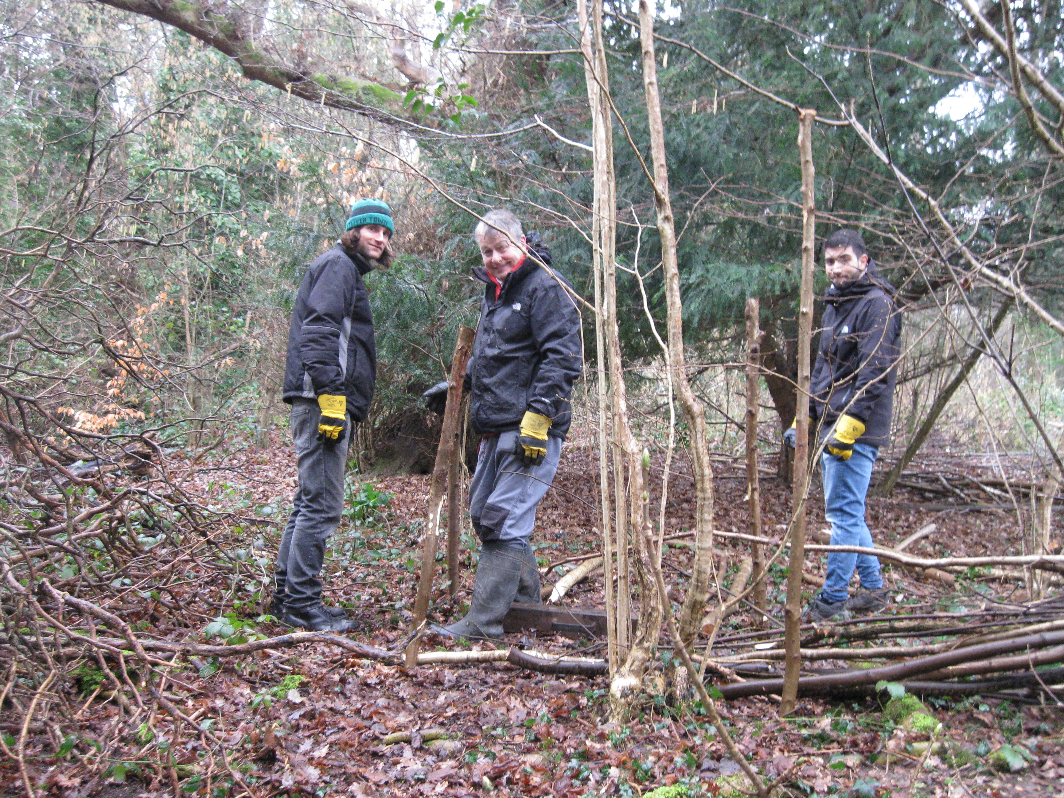 Work Day 22.02.2023.13.