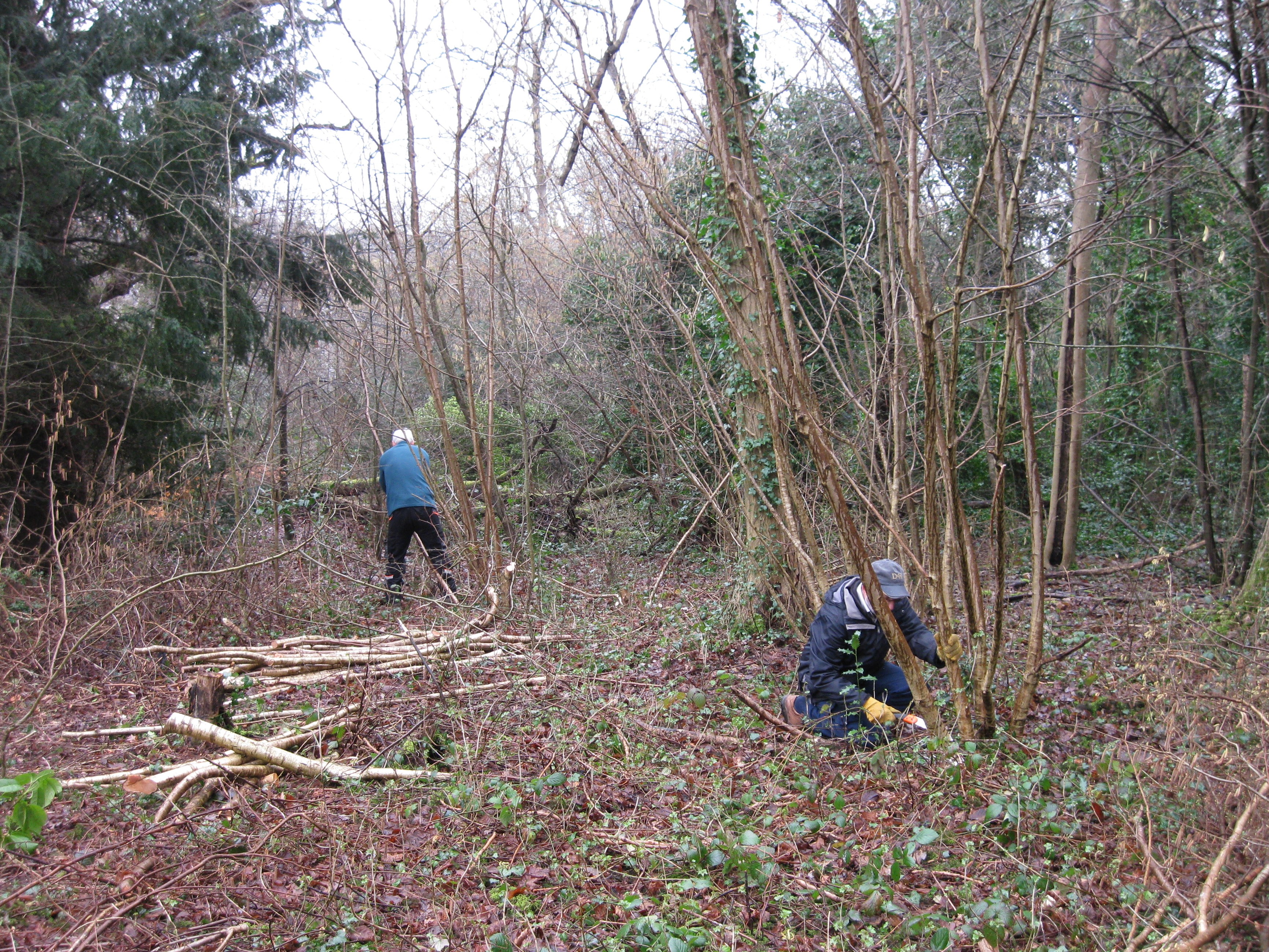 Work Day 22.02.2023.9.