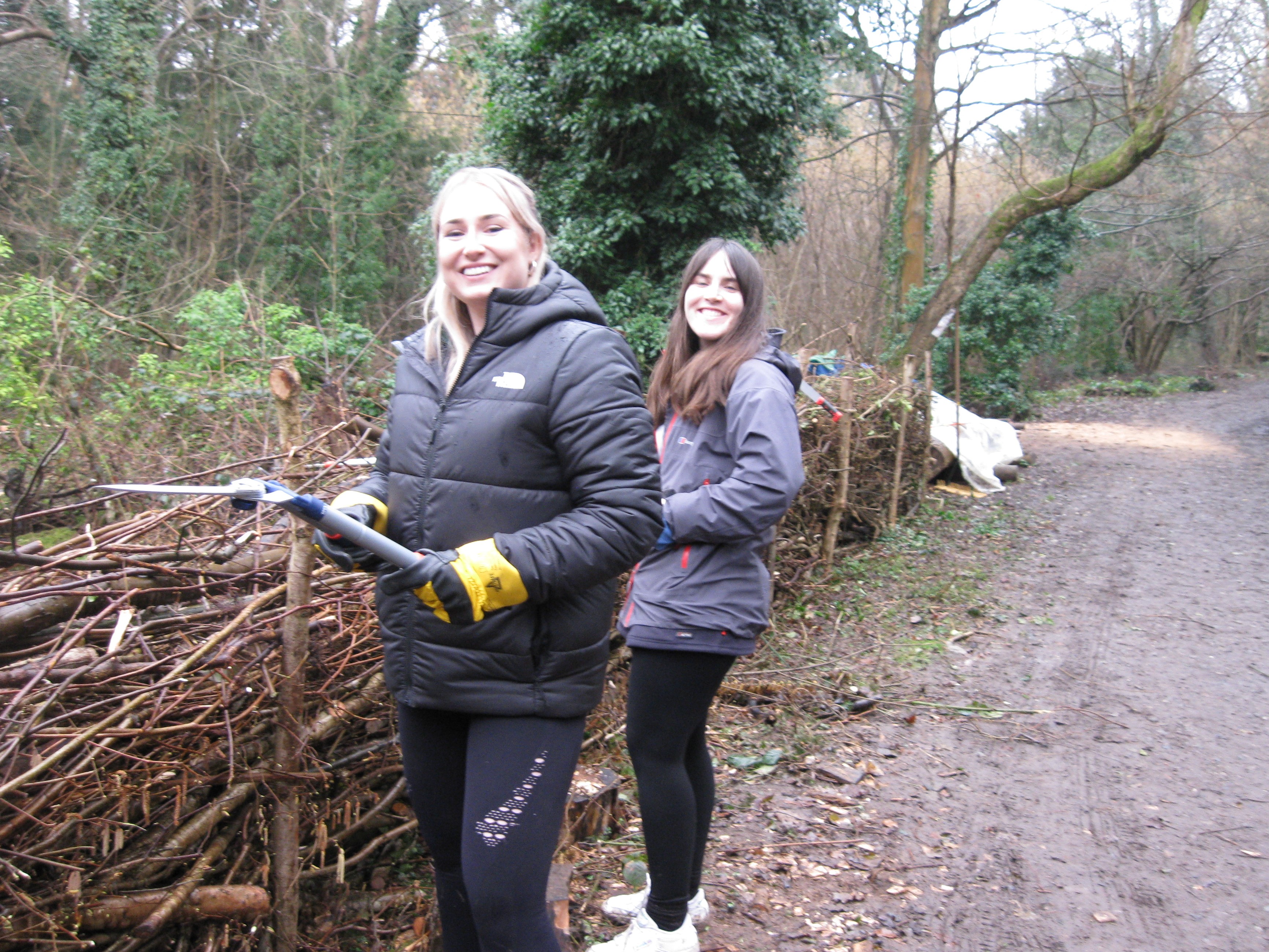 Work Day 22.02.2023.11.