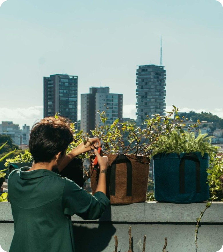 Construindo a maior fazenda do mundo com Olist Vnda.