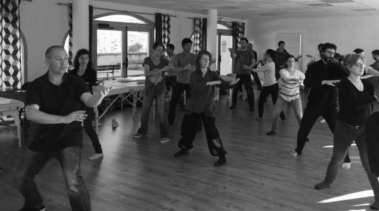 LE QI GONG POUR MAîTRISER LA MEDECINE MANUELLE