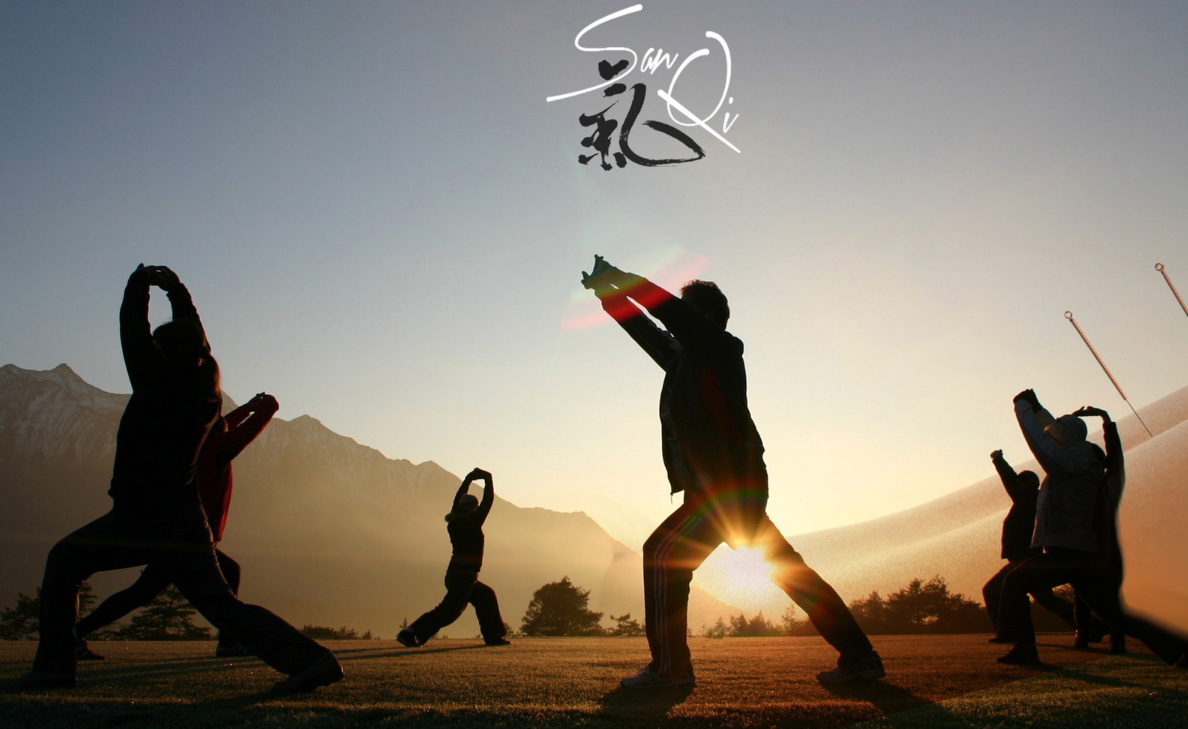 TUINA TRADITIONNEL et ZHENGGU